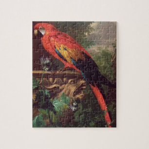 ScarletMacaw in einer Landschaft (Öl auf Leinwand
