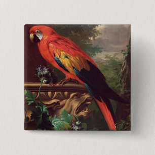 ScarletMacaw in einer Landschaft (Öl auf Leinwand Button