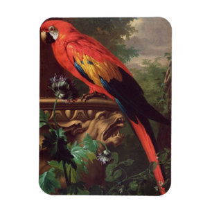 ScarletMacaw in einer Landschaft (Öl auf Leinwand Magnet