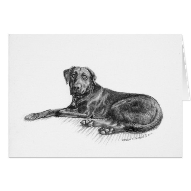 Scarlett das schwarze Labor (Vorderseite (Horizontal))