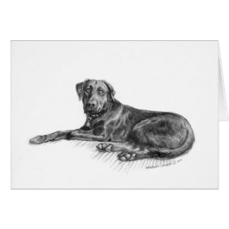 Scarlett le laboratoire noir