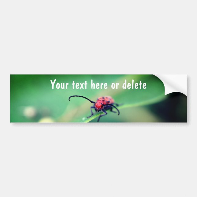 Scary Red Spotted Beetle Nature Personalized Autoaufkleber (Vorne)