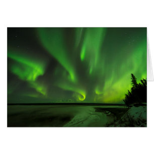 Scatter Aurora