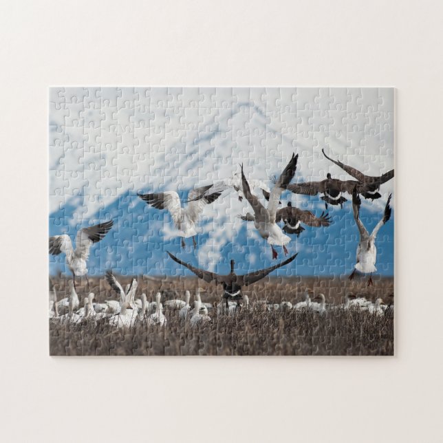 Scattering Geese (Horizontal)