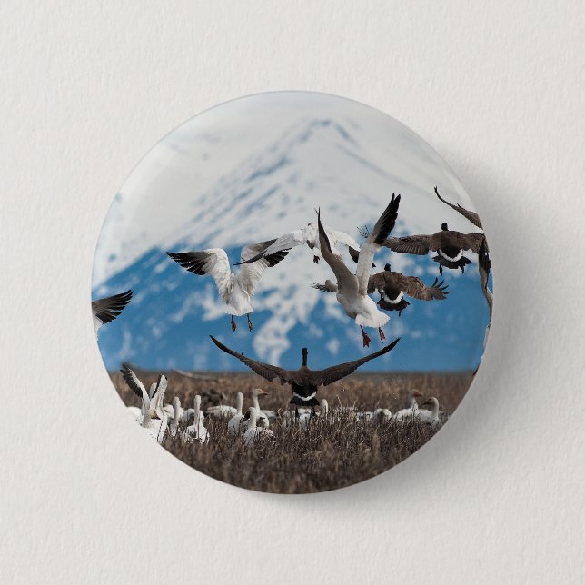 Scattering Geese Button (Vorderseite)