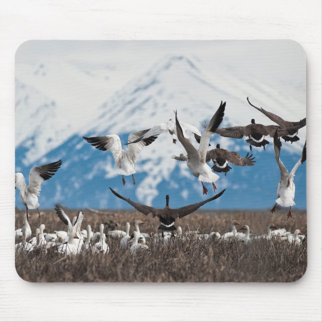 Scattering Geese Mousepad (Vorne)