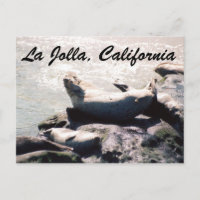 Sceau en La Jolla California Photo Carte Postale