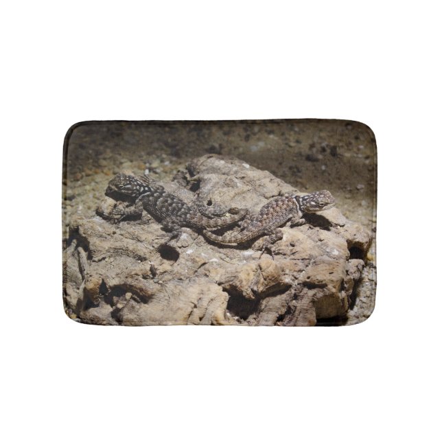 Sceloporus cyanogenes badematte (Vorderseite)