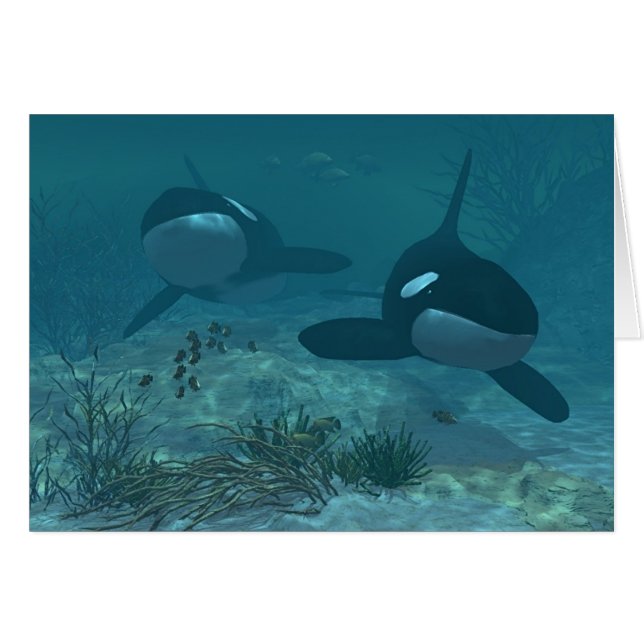 Scène de baleine (Devant horizontal)