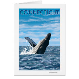Scène de baleines à bosse du Connecticut