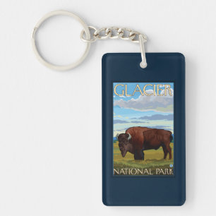 Scène de bison - parc national de glacier, la TA