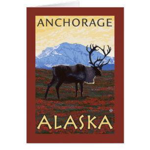 Scène de caribou - Anchorage, Alaska