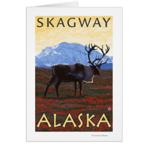 Scène de caribou - Skagway, Alaska