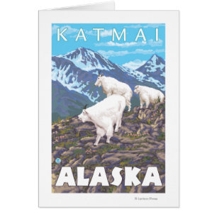 Scène de chèvres de montagne - Katmai, Alaska