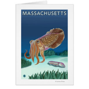 Scène de MassachusettsCuttlefish