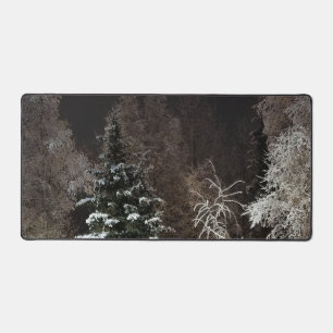 Scène de nuit forestière hivernale cosy