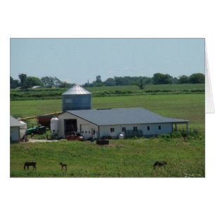 Scène de pâturage de campagne Amish