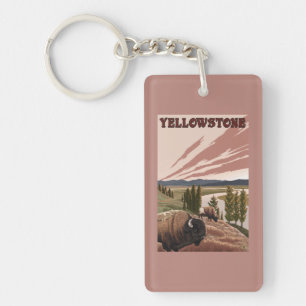 Scène de YellowstoneBison