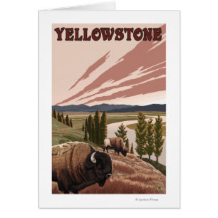 Scène de YellowstoneBison