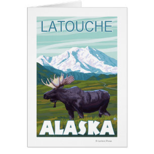 Scène d'orignaux - Latouche, Alaska