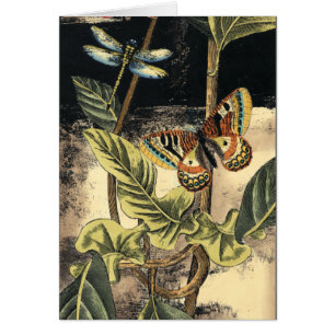 Scène foncée de nature par le studio de vision