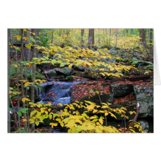 Scène forestière d'automne