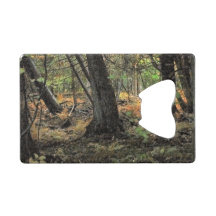 Scène forestière d'automne