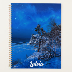 Scène hivernale nocturne avec pins enneigés
