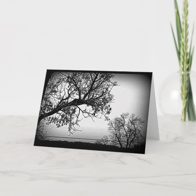 Scène Lac Noir Et Blanc Toute Carte D'Occasion (Devant)
