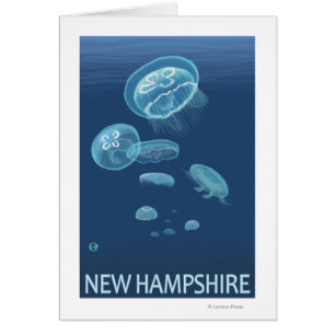 Scène New HampshireJellyfish