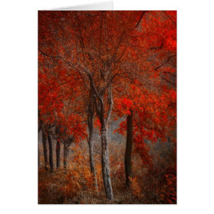 Scène vintage de forêt