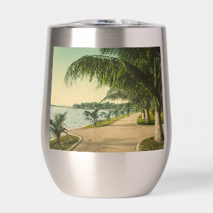 Scène vintage de Palm Beach en Floride