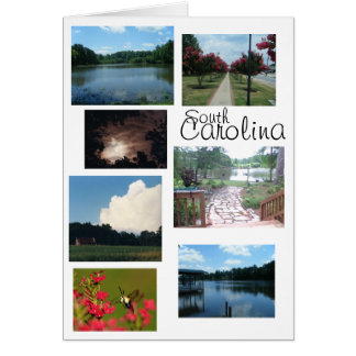 Scènes de Caroline du Sud