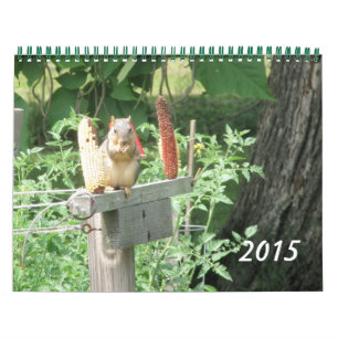 Scènes Du Calendrier Nature