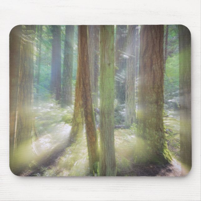 Scenic Beach State Park Mousepad (Vorne)