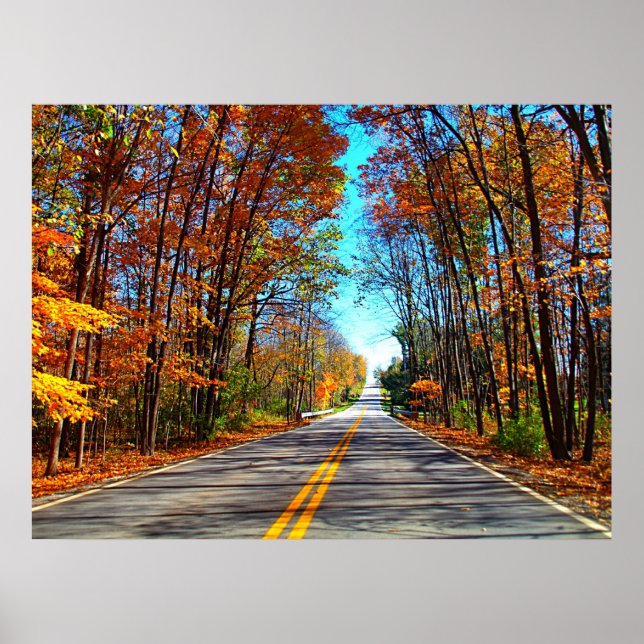 Scenic Drive Poster (Vorne)