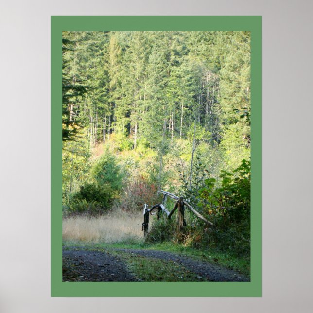 Scenic Oregon Forest Trees Country Photography Poster (Vorne)