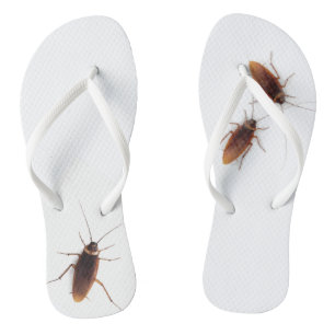 Schabe Flip Flops