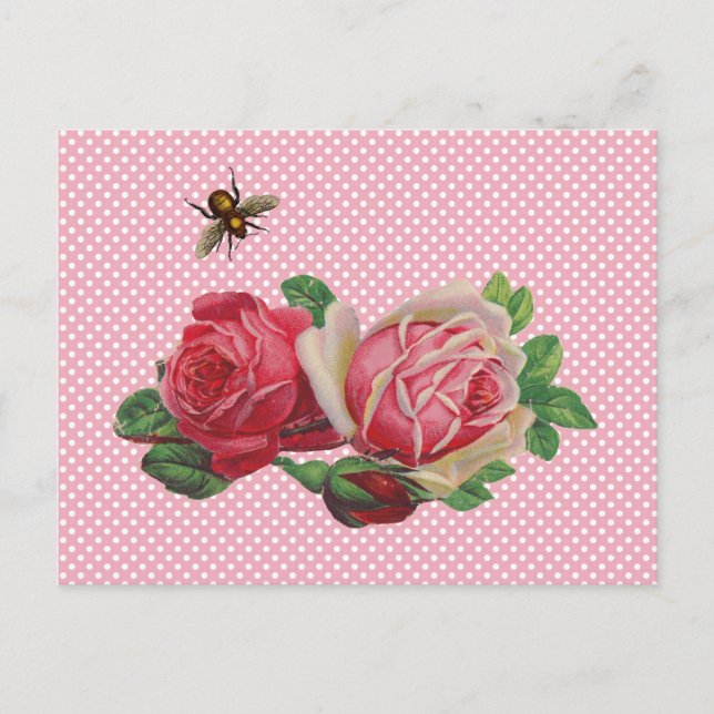 Schäbige Rosen Postkarten (Vorderseite)