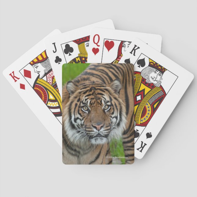 Schablone Spielkarten (Rückseite)