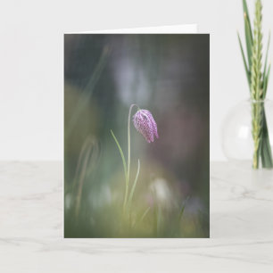 Schach-Blume Natur-Foto Karte
