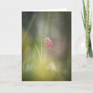 Schach-Blume-Natur-Foto Karte
