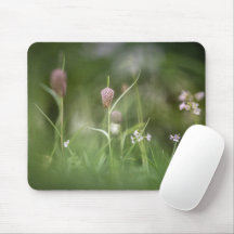 Schach-Blume Natur-Foto