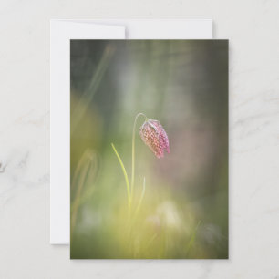 Schach-Blume-Natur-Fotokarte