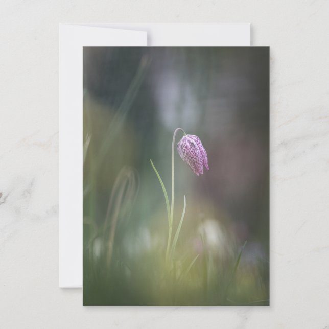 Schach-Blume-Natur-Fotokarte (Vorderseite)