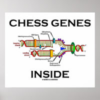 Schach-Gene im Inneren (DNA-Replikation)