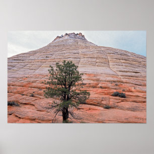 Schachbrett-Tafel Zion-Nationalpark Poster