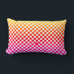 Schachbretter mit einem Regenbogen von hellen Farb Lendenkissen<br><div class="desc">Klassisches Schachbrett mit einem Regenbogen in kräftigen Farben.</div>