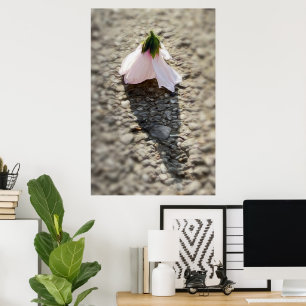 Schachpflaster-Blume Poster