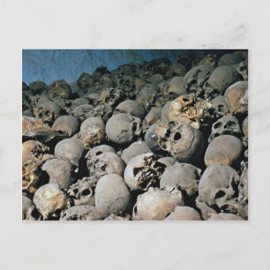 Schädel auf dem Sinai, Nahost Postkarte